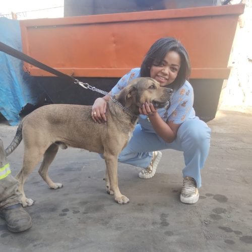 WhatsApp Image 2025-06-18 at 12.53.59